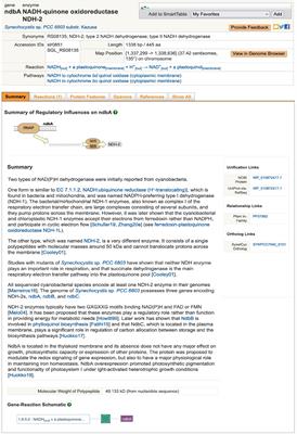 CyanoCyc cyanobacterial web portal